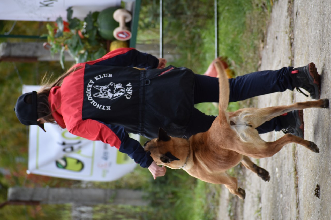 DSC_0646_1280x853.JPG